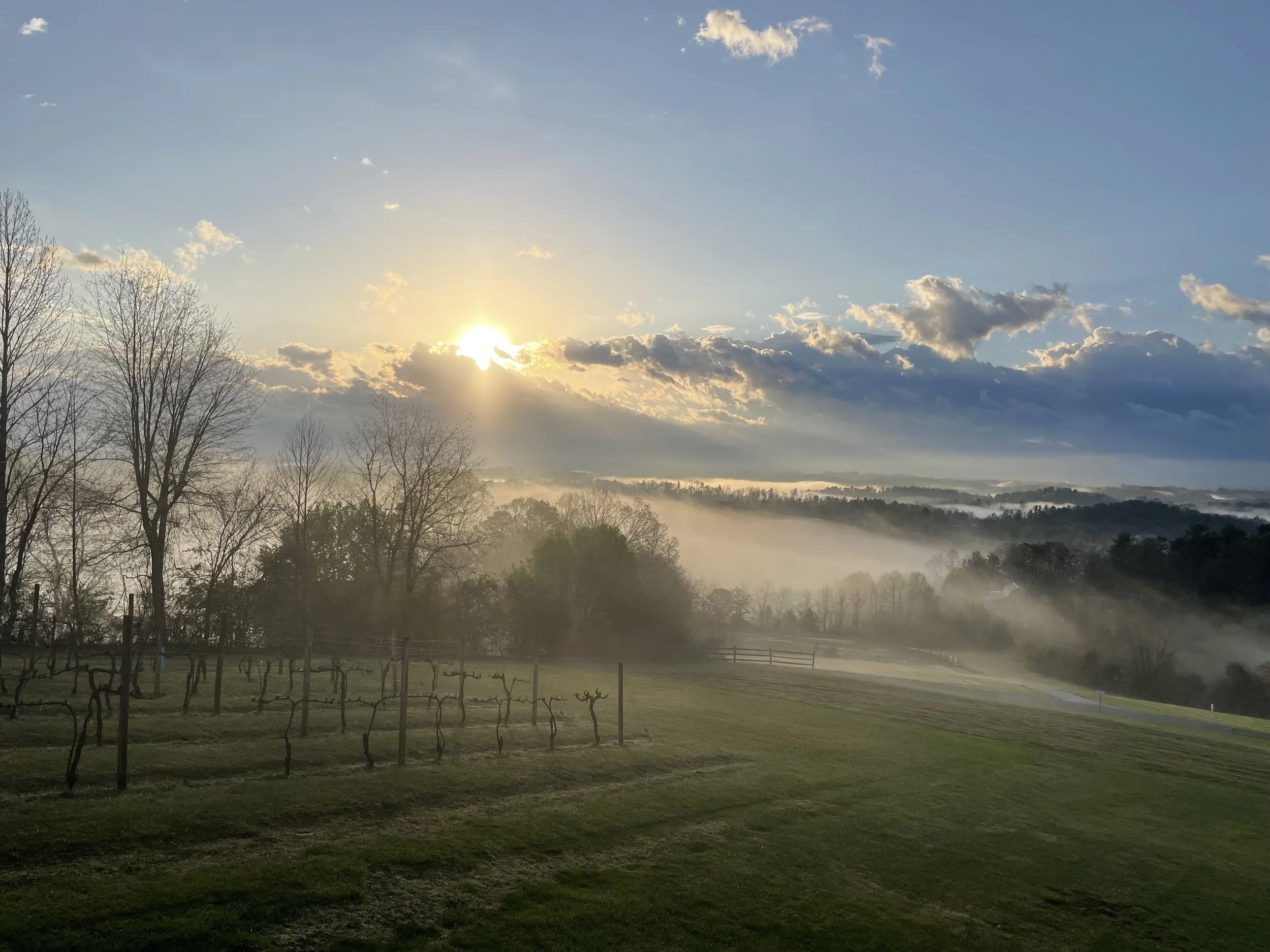 Mountain Vineyard Wedding Venue with Blue Ridge Views | Longleaf